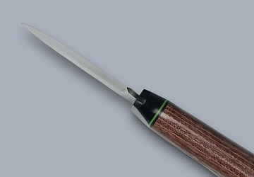 Шкурник