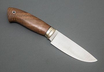 Сокол Сокол