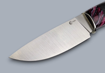 Сокол