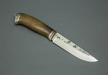 Ястреб Ястреб