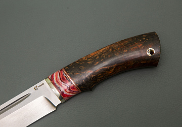 Путник Путник