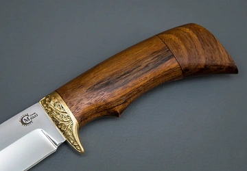 Лазутчик Лазутчик