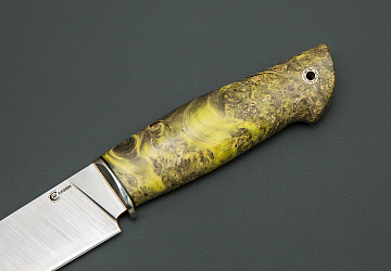 Сокол Сокол