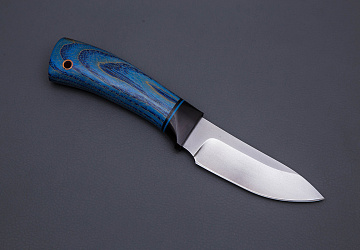 Шкурник-1 Шкурник-1