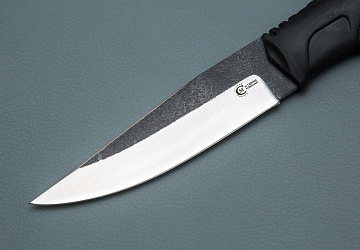 Коршун Коршун