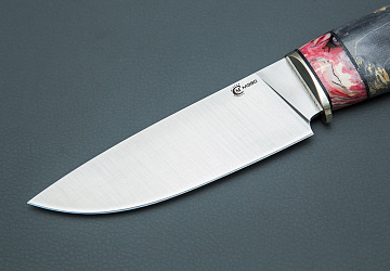 Сокол Сокол