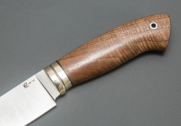 Сокол Сокол