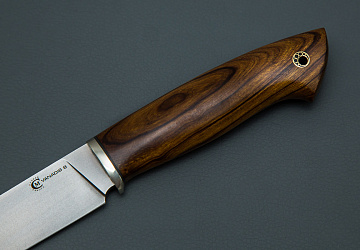 Ястреб Ястреб