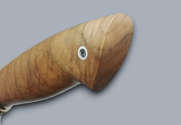 Тайга