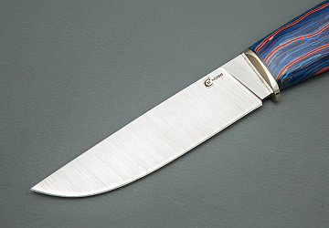 Ястреб Ястреб