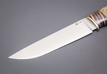 Пантера Пантера