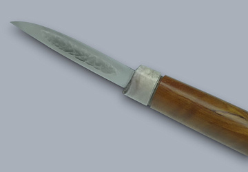 Северный мини