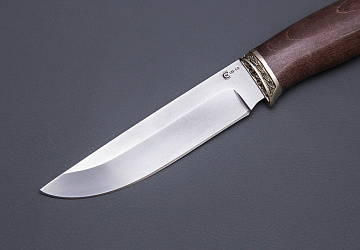 Ястреб Ястреб