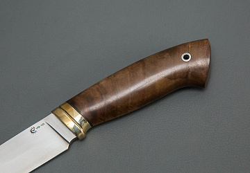 Пантера Пантера