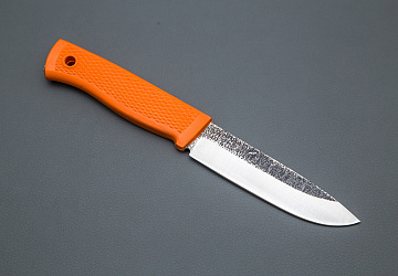 Мурена Мурена