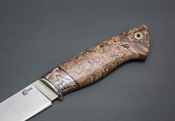 Пантера Пантера