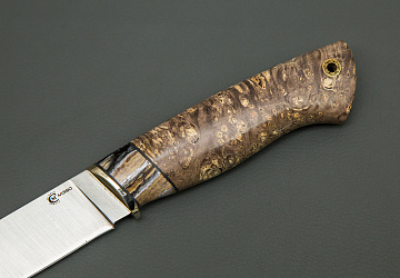 Пантера Пантера