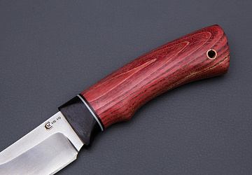 Орлан Орлан