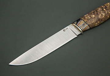 Пантера Пантера