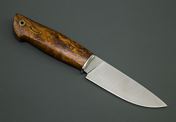 Сокол Сокол