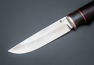 Ястреб Ястреб