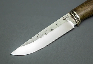 Ястреб Ястреб