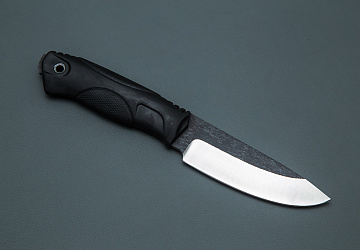 Сокол Сокол