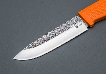 Мурена Мурена