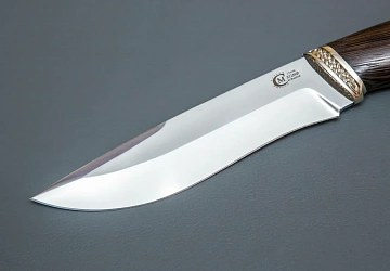 Беркут Беркут