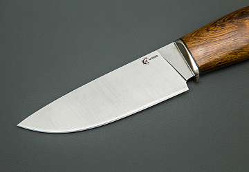 Сокол Сокол