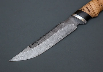 Осетр Осетр